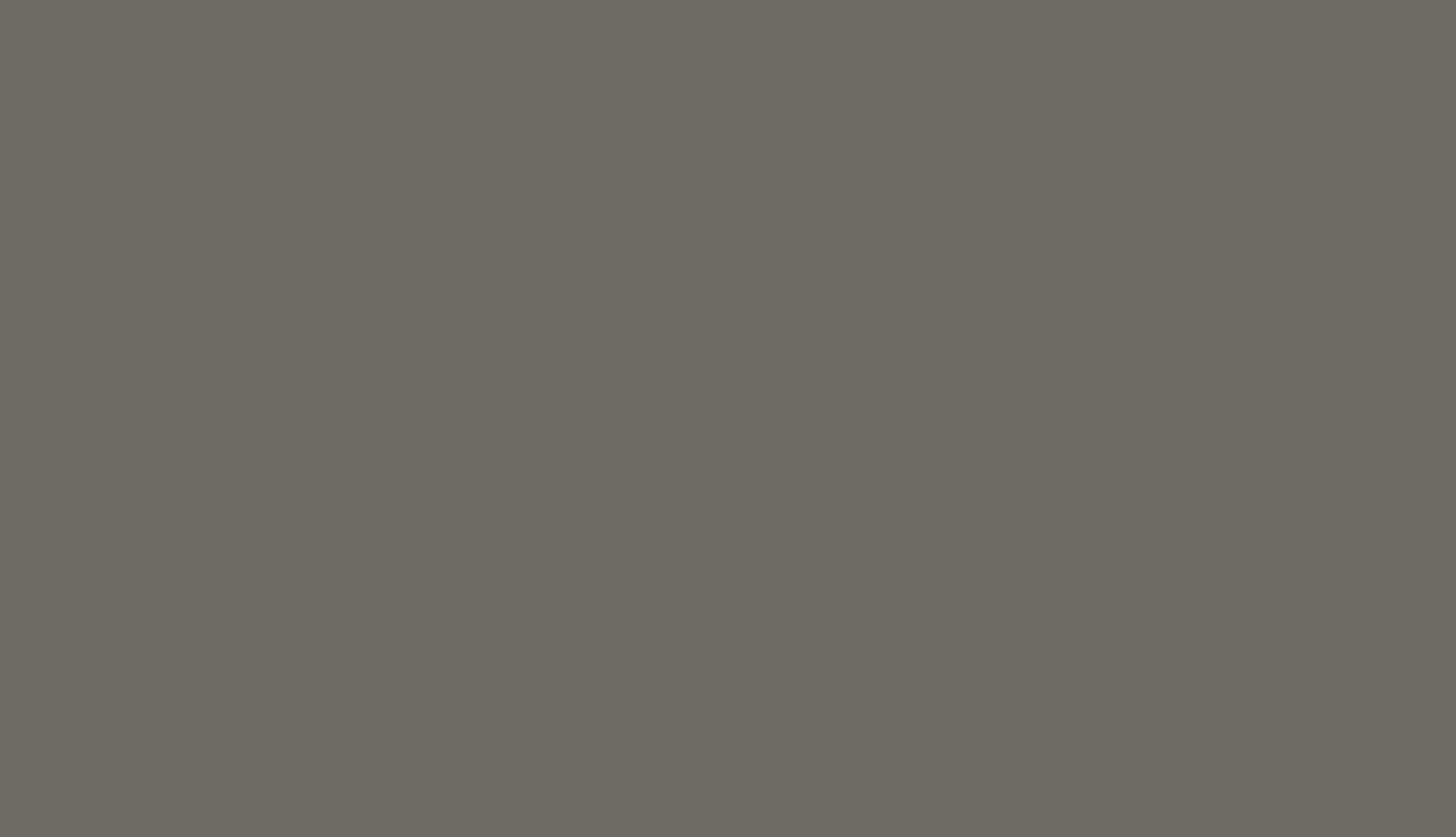 Color Option 4